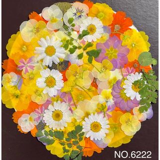 押し花アソート☆素材花材