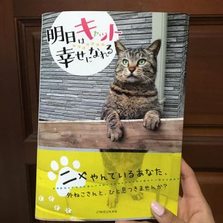 ネコ本❤️『明日はキャット幸せになれる』(猫)