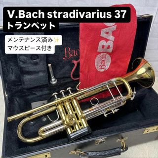 BACH トランペット用 純正 ハードケースの通販 by うしん|ラクマ BACH トランペット用 純正 ハードケースの通販 by うしん|ラクマ