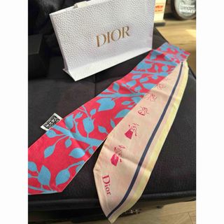 Christian Dior - 新作新品 クリスチャンディオール ミッツァ Christian Dior - 新作新品 クリスチャンディオール ミッツァ