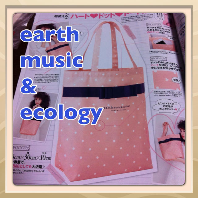 earth music & ecology(アースミュージックアンドエコロジー)の【earth】付録トートバッグ レディースのバッグ(トートバッグ)の商品写真