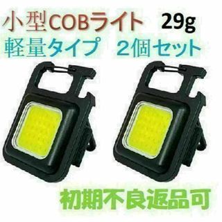 未使用 コールマン Coleman 290A 743J Limited Edition 未使用 コールマン Coleman 290A 743J Limited Edition