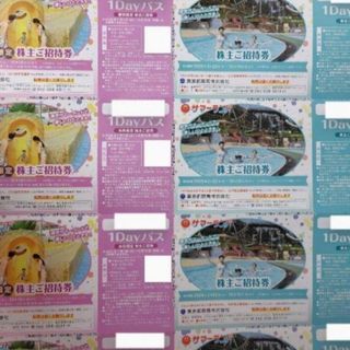 東京サマーランド　株主優待券8枚と大井競馬場  株主優待証1枚(その他)
