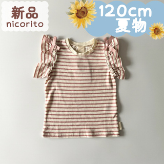 新品｜夏物｜フリル袖Ｔシャツ　ボーダー　ピンク　120cm(Tシャツ/カットソー)