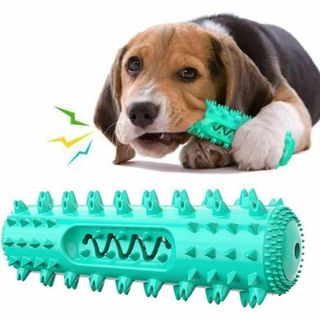 shttown 犬用 おもちゃ 噛むおもちゃ 音が鳴る 訓練用 歯ブラシ 丈夫(ノーカラージャケット)