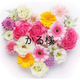 ジブリ - 風の谷のナウシカ DVD 本編ディスクのみ! スタジオ ジブリ - 風の谷のナウシカ DVD 本編ディスクのみ! スタジオ