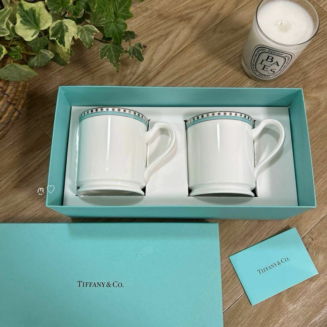 Tiffany & Co. - 新品未使用品 ティファニー プラチナブルー Tiffany & Co. - 新品未使用品 ティファニー プラチナブルー