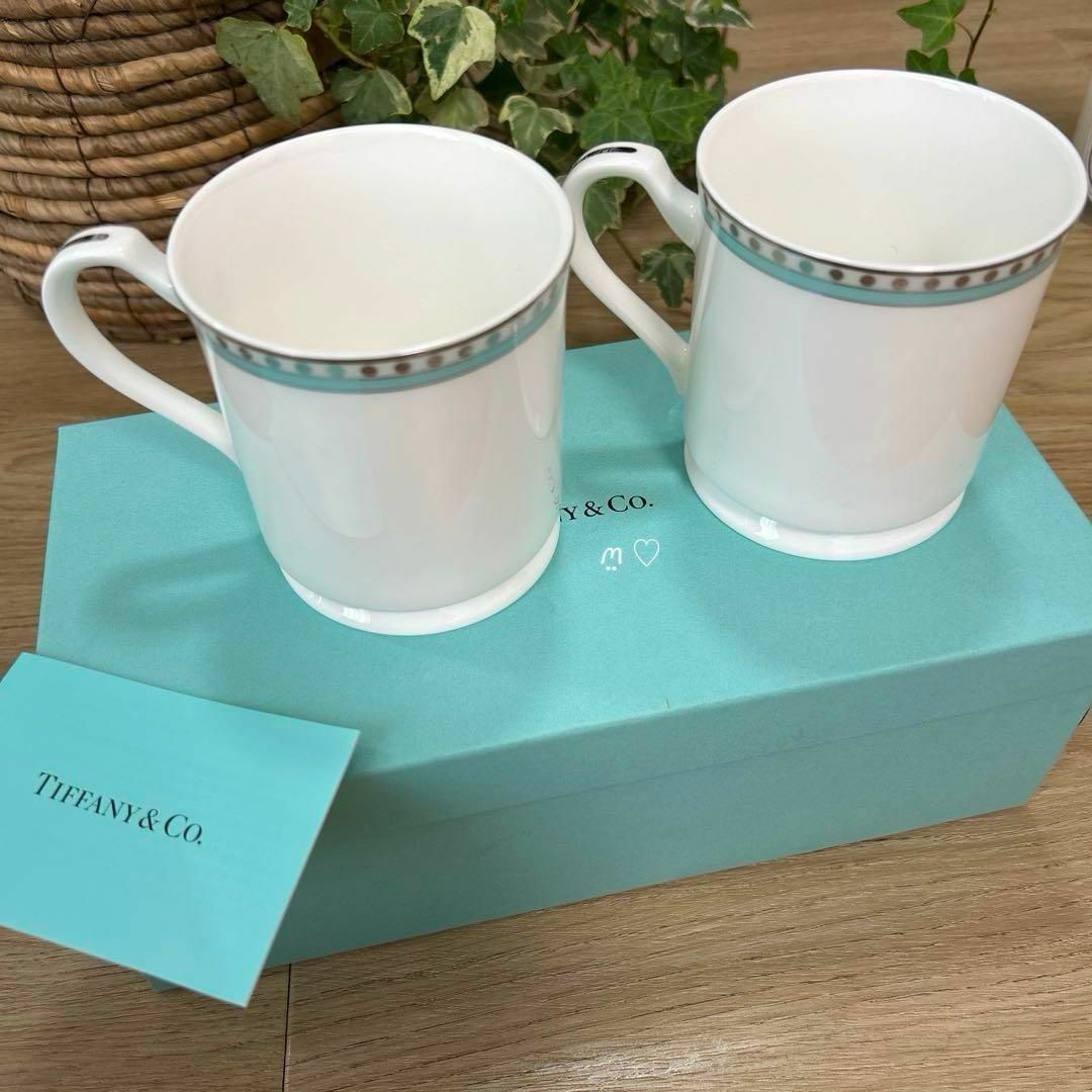 Tiffany & Co. - 新品未使用品 ティファニー プラチナブルー Tiffany & Co. - 新品未使用品 ティファニー プラチナブルー