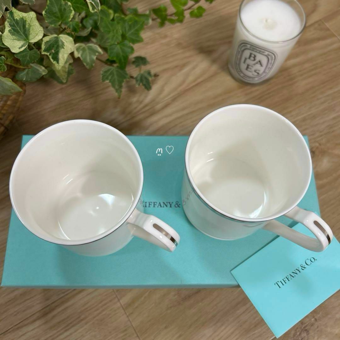 Tiffany & Co. - 新品未使用品 ティファニー プラチナブルー Tiffany & Co. - 新品未使用品 ティファニー プラチナブルー