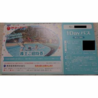 mama様 サマーランド1Dayパス1枚 東京都競馬株主優待 即日発送 その2(遊園地/テーマパーク)