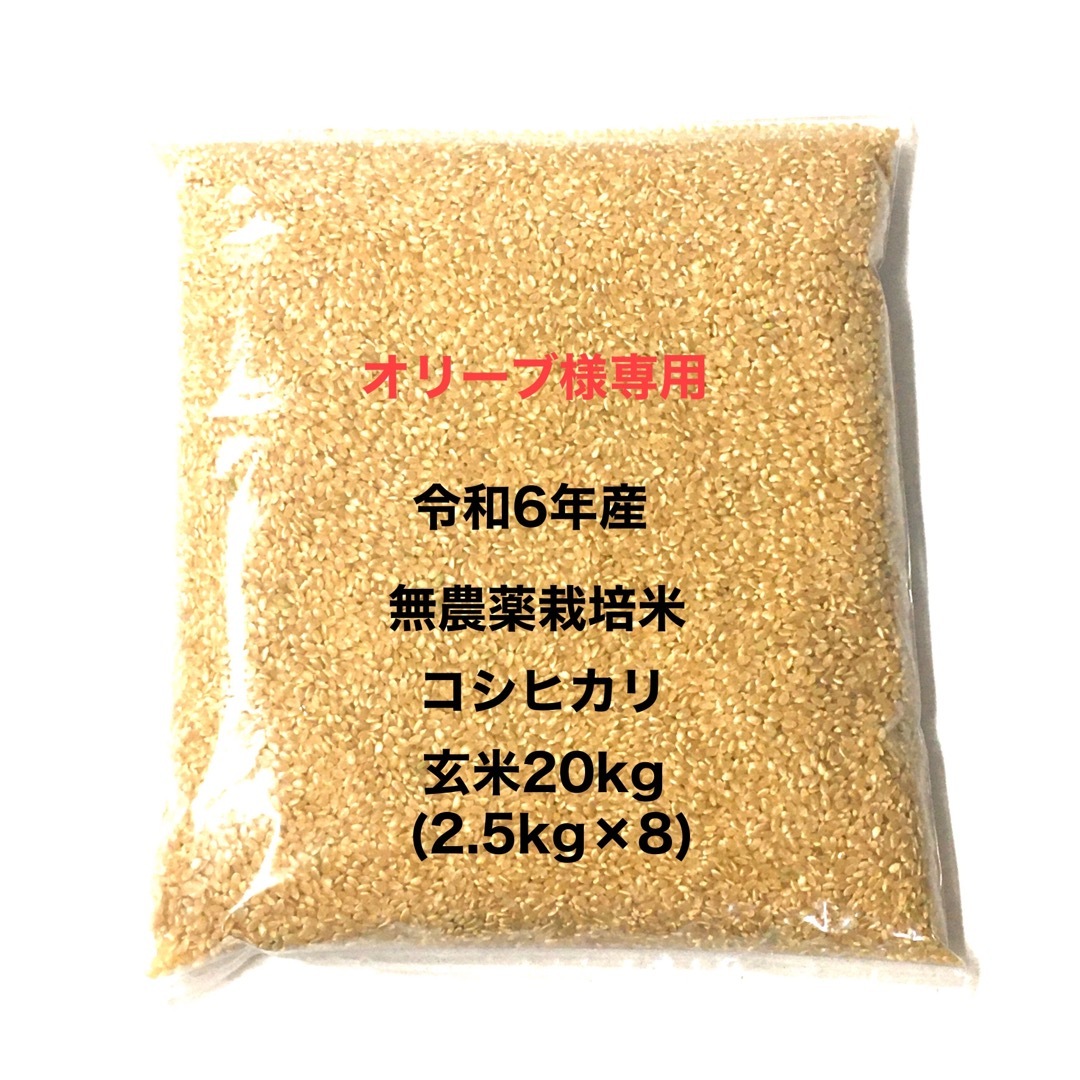 農薬・肥料不使用、天日干しのお米【玄米5kg】 農薬・肥料不使用、天日干しのお米【玄米5kg】