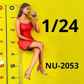 1/24 NU-2053 フィギュア　完成品　ミニカーに　1/64(その他)