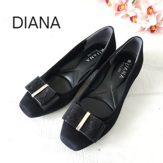 DIANA - DIANA ダイアナ シルバー ラメニットチュール 24cmの DIANA - DIANA ダイアナ シルバー ラメニットチュール 24cmの