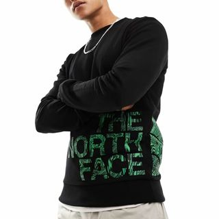 ザノースフェイス(THE NORTH FACE)のノースフェイス L スウェット プリントロゴトレーナー EUモデル 海外限定 (スウェット)