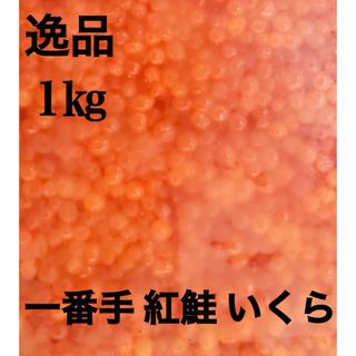 販売開始!獲れたて【漁師直送】カラフトマス 1.5〜2.0kg 販売開始!獲れたて【漁師直送】カラフトマス 1.5〜2.0kg