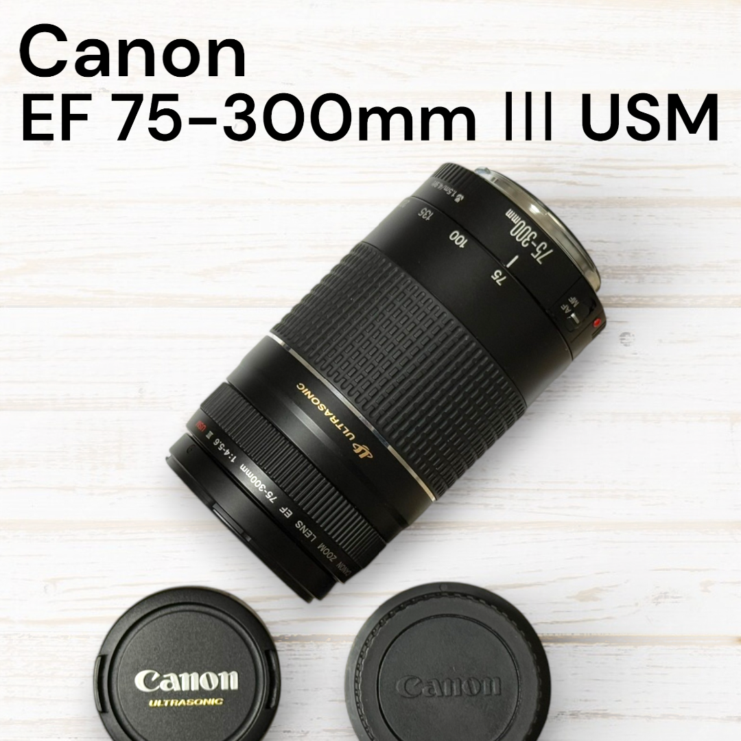 Canon - Canon 望遠レンズ EF 75-300mm F4-5.6 Ⅲ USM #64