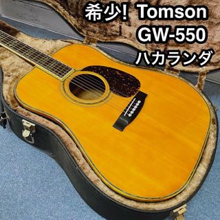 Takamine - 【ジャンク扱】人気のスロテッドヘッド タカミネ Takamine - 【ジャンク扱】人気のスロテッドヘッド タカミネ