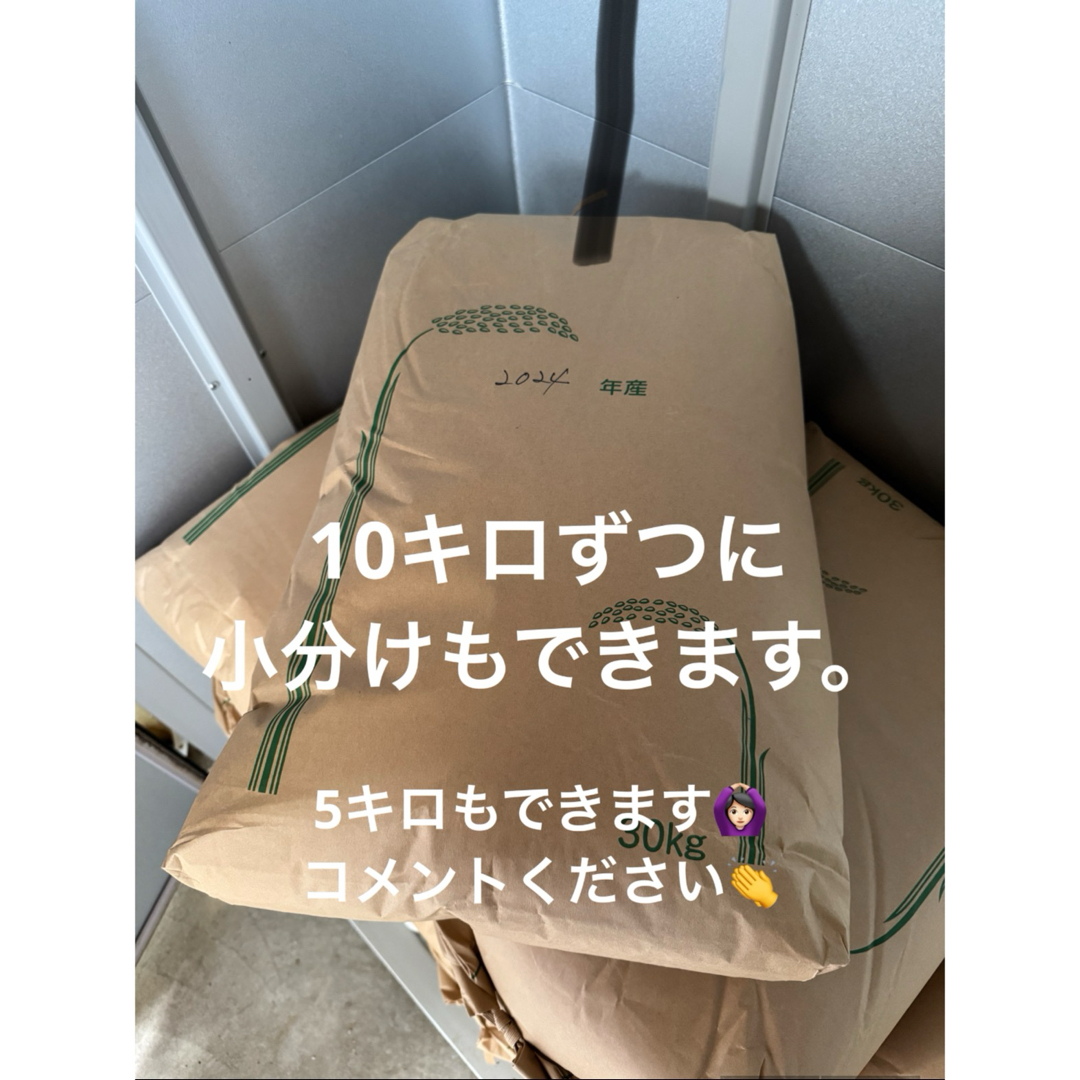 米 玄米30kg R6年度米2024の通販 by M's shop|ラクマ 米 玄米30kg R6年度米2024の通販 by M's shop|ラクマ