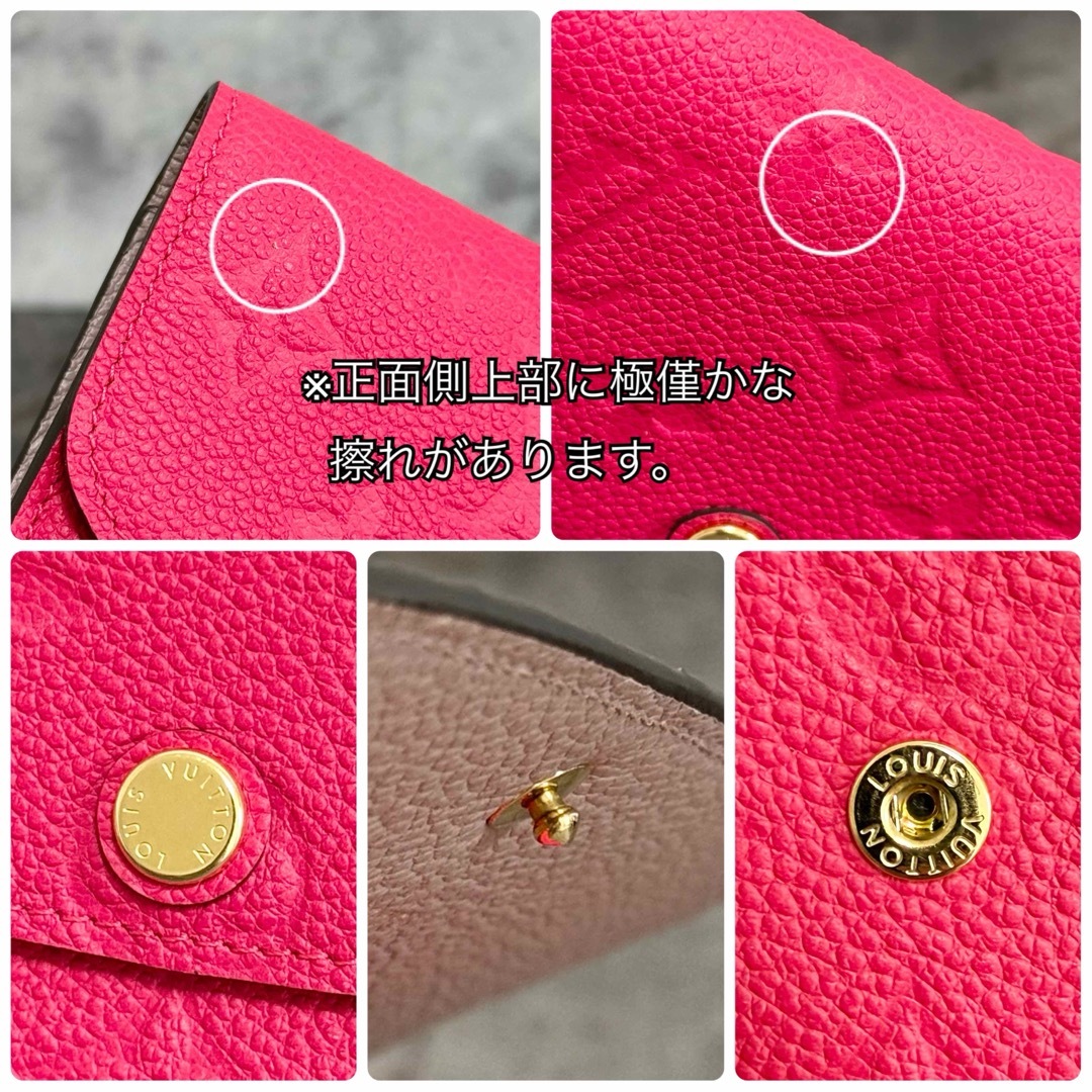 LOUIS VUITTON - 入手困難 新品⭐️ルイヴィトン アンプラント LOUIS VUITTON - 入手困難 新品⭐️ルイヴィトン アンプラント