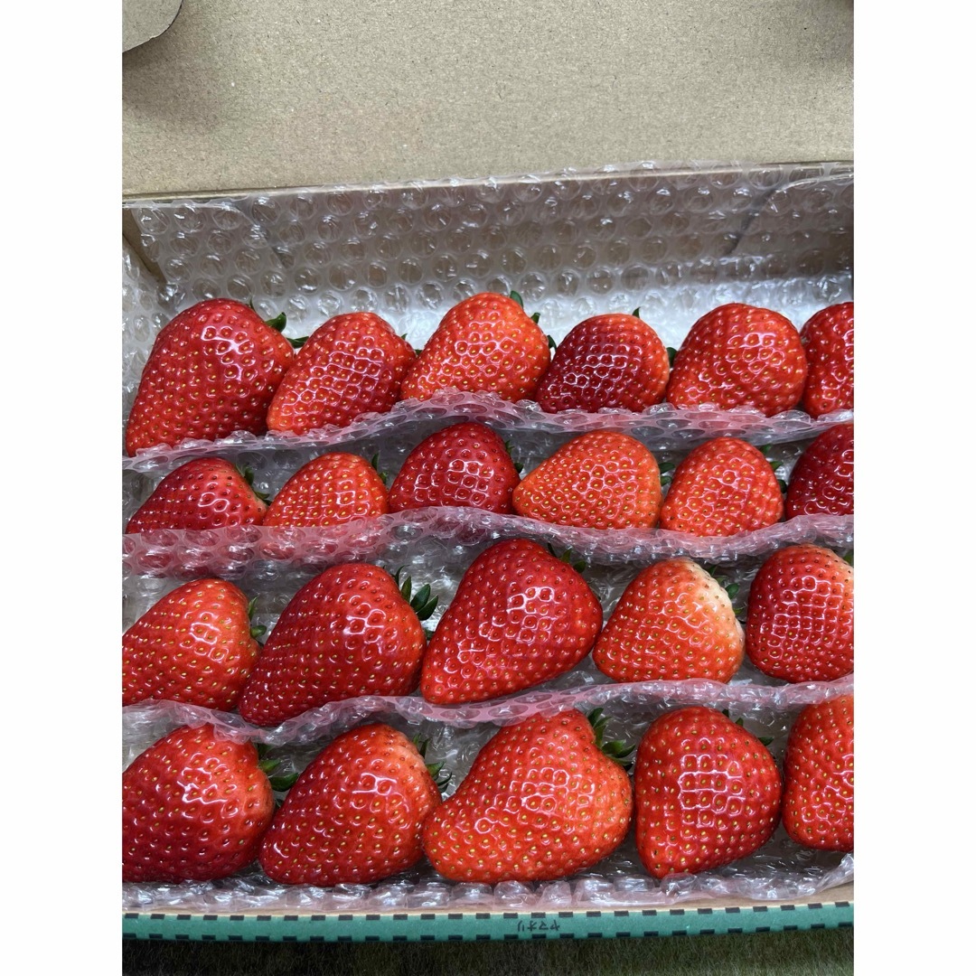 とちあいか 豆しば農園 農家直送品 お買い得品‼︎ 4月半ばで苺 とちあいか 豆しば農園 農家直送品 お買い得品‼︎ 4月半ばで苺