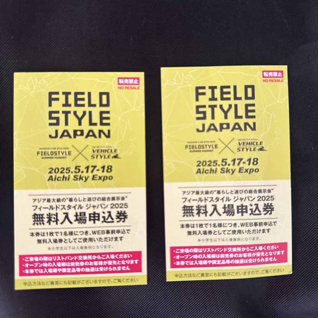 フィールドスタイル2025 チケット 2枚セット チケットのイベント(その他)の商品写真