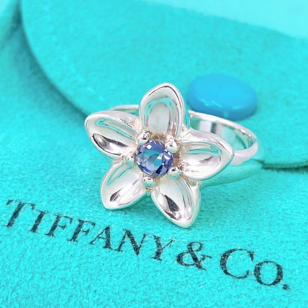 Tiffany & Co. - 極美品レア ティファニー フラワー Tiffany & Co. - 極美品レア ティファニー フラワー