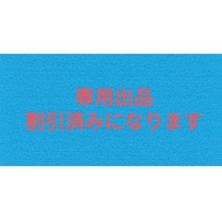 専用(Tシャツ/カットソー(半袖/袖なし))