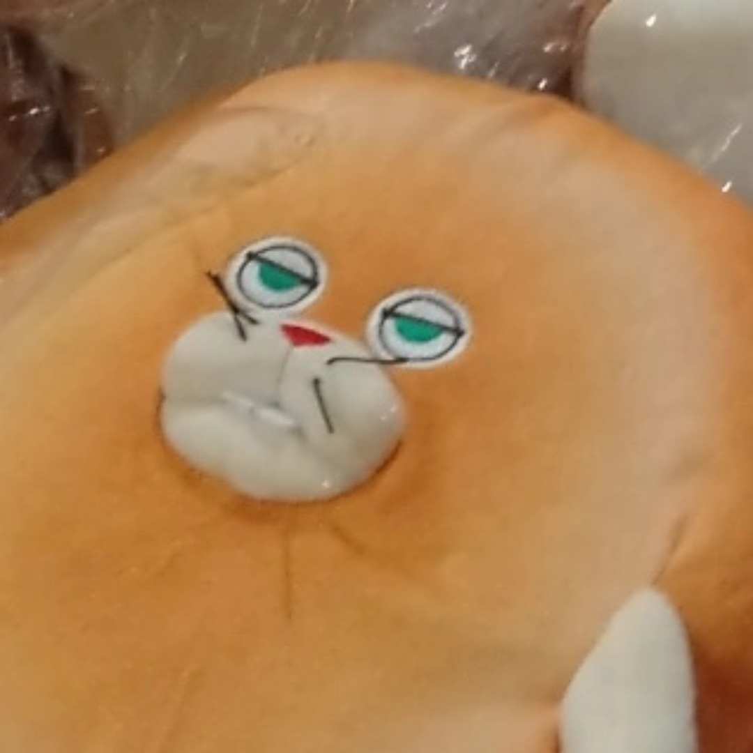 【ss専用】