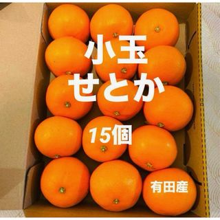 □愛媛のせとか 5k箱□家庭用□除草剤使用無 万田酵素散布□の □愛媛のせとか 5k箱□家庭用□除草剤使用無 万田酵素散布□の