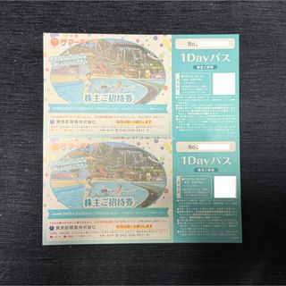 サマーランド 株主優待券 東京都競馬(遊園地/テーマパーク)