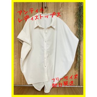 Paul Stuart - 【新品未使用タグ付き】バックサテンジョーゼット
