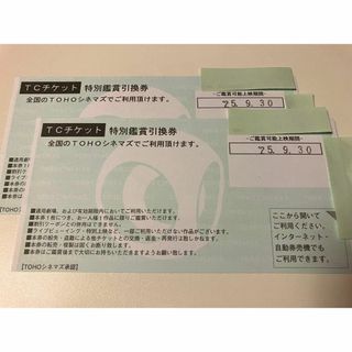 TCチケット　TOHOシネマズ　2枚（最長2025.9.30まで）(その他)