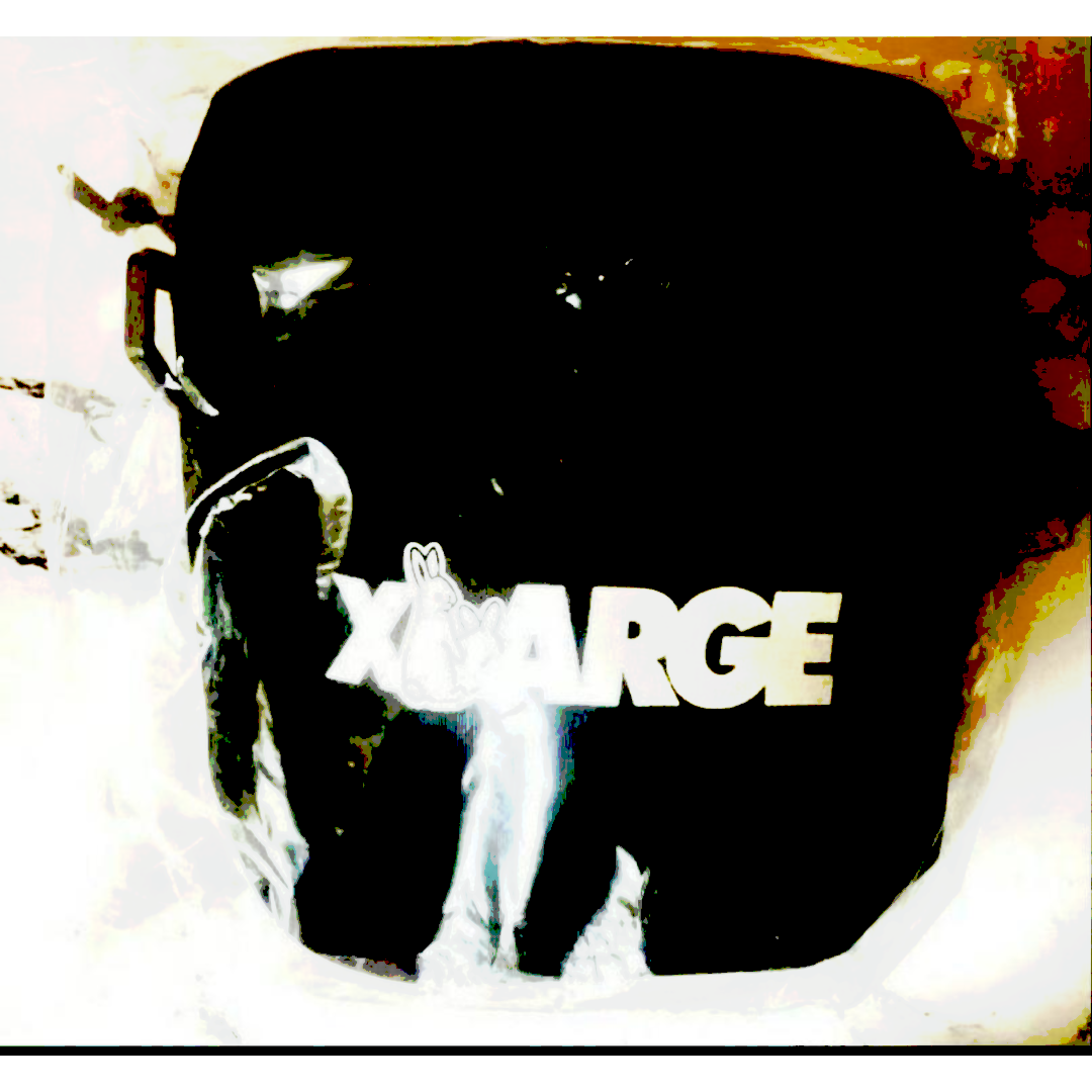 #FR2(エフアールツー)の☆FR2 XLARGE ショルダーバッグ ブラック 黒 メンズのバッグ(ショルダーバッグ)の商品写真