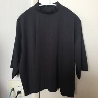 新品・未使用　アンフィーロ　ハイネッククロップドTシャツ　試着のみ(その他)