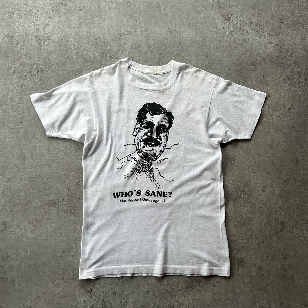 FRUIT OF THE LOOM - 70s フルーツオブザルーム tシャツ USA製 L スターリン ソ連