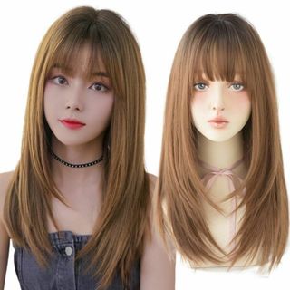 ウィッグ ロング ストレート ウイッグ セミロング 黒髪 女装 フルウィッグ ロ(その他)