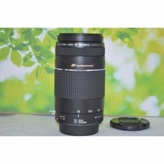 Canon - ❤即購入1000円OFF❤ キャノン EF100-300mm 手の届く Canon - ❤即購入1000円OFF❤ キャノン EF100-300mm 手の届く