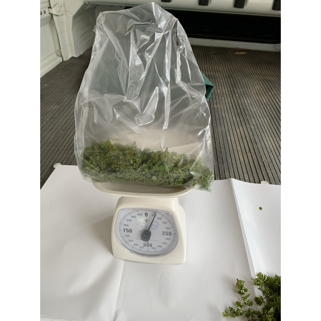 花山椒 50g 京都 大原野産の通販 by 花タケノコ's shop|ラクマ 花山椒 50g 京都 大原野産の通販 by 花タケノコ's shop|ラクマ