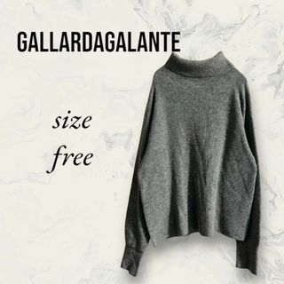 GALLARDAGALANTE ガリャルダガランテ ニット タートルネック(ノーカラージャケット)