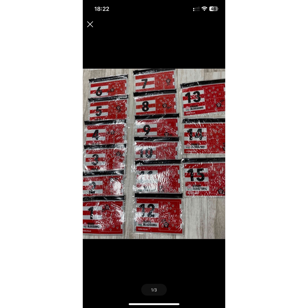 ラグビー 日本代表 スライダーポーチ スポーツ/アウトドアのスポーツ/アウトドア その他(ラグビー)の商品写真