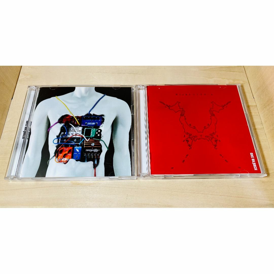 ONE OK ROCK 感情エフェクト Nicheシンドローム 初回盤 DVD付