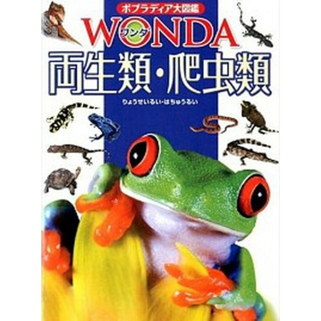 両生類・爬虫類 /ポプラ社/西川 完途(大型本) エンタメ/ホビーの本(絵本/児童書)の商品写真