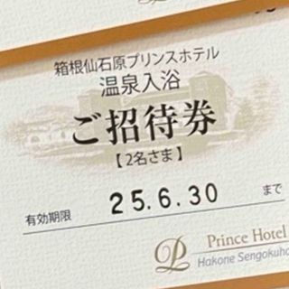 Prince - 5枚🔶1000円共通割引券🔶西武ホールディングス株主 Prince - 5枚🔶1000円共通割引券🔶西武ホールディングス株主