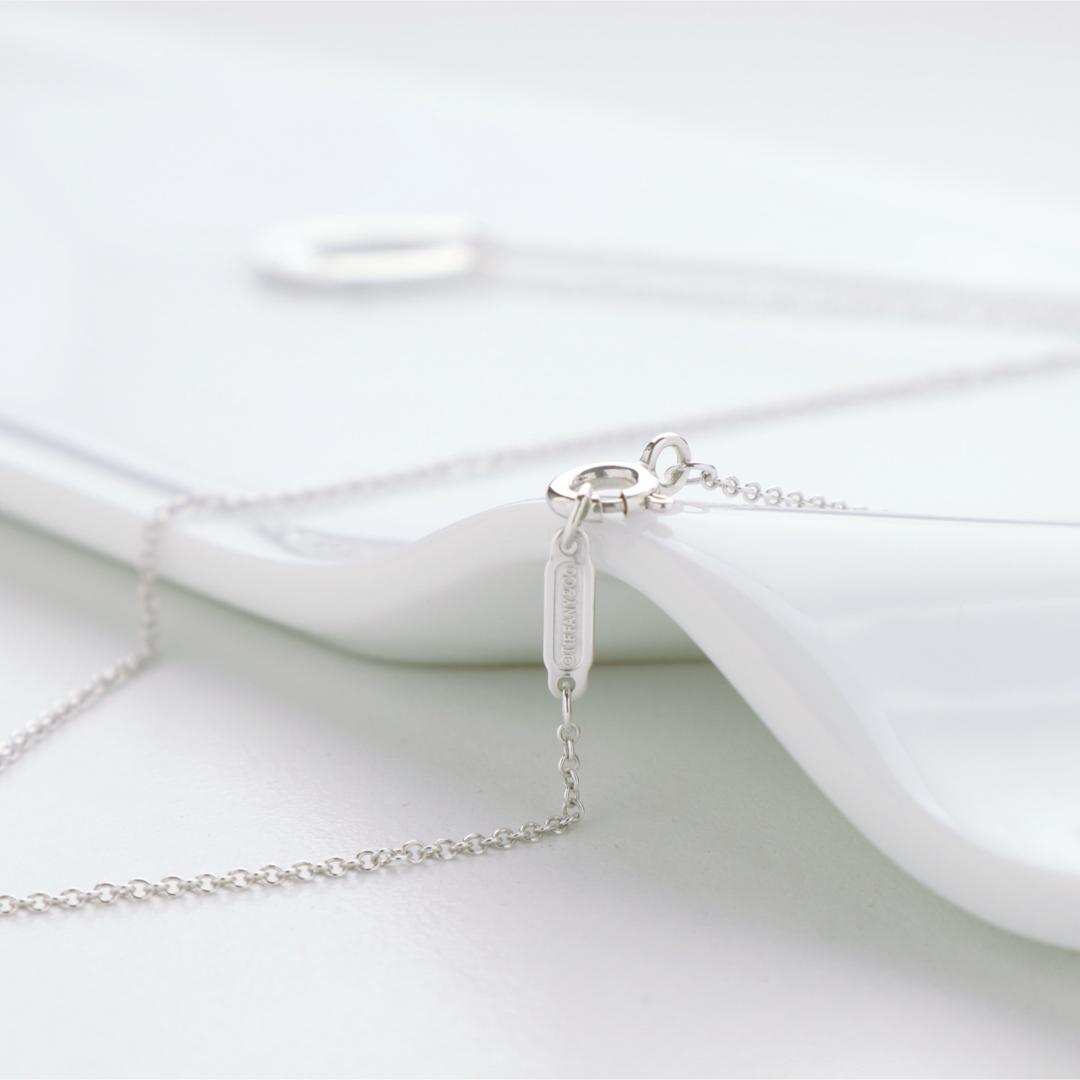 Tiffany & Co. - 極美品 TIFFANY&Co. ティファニー ホースシュー Tiffany & Co. - 極美品 TIFFANY&Co. ティファニー ホースシュー