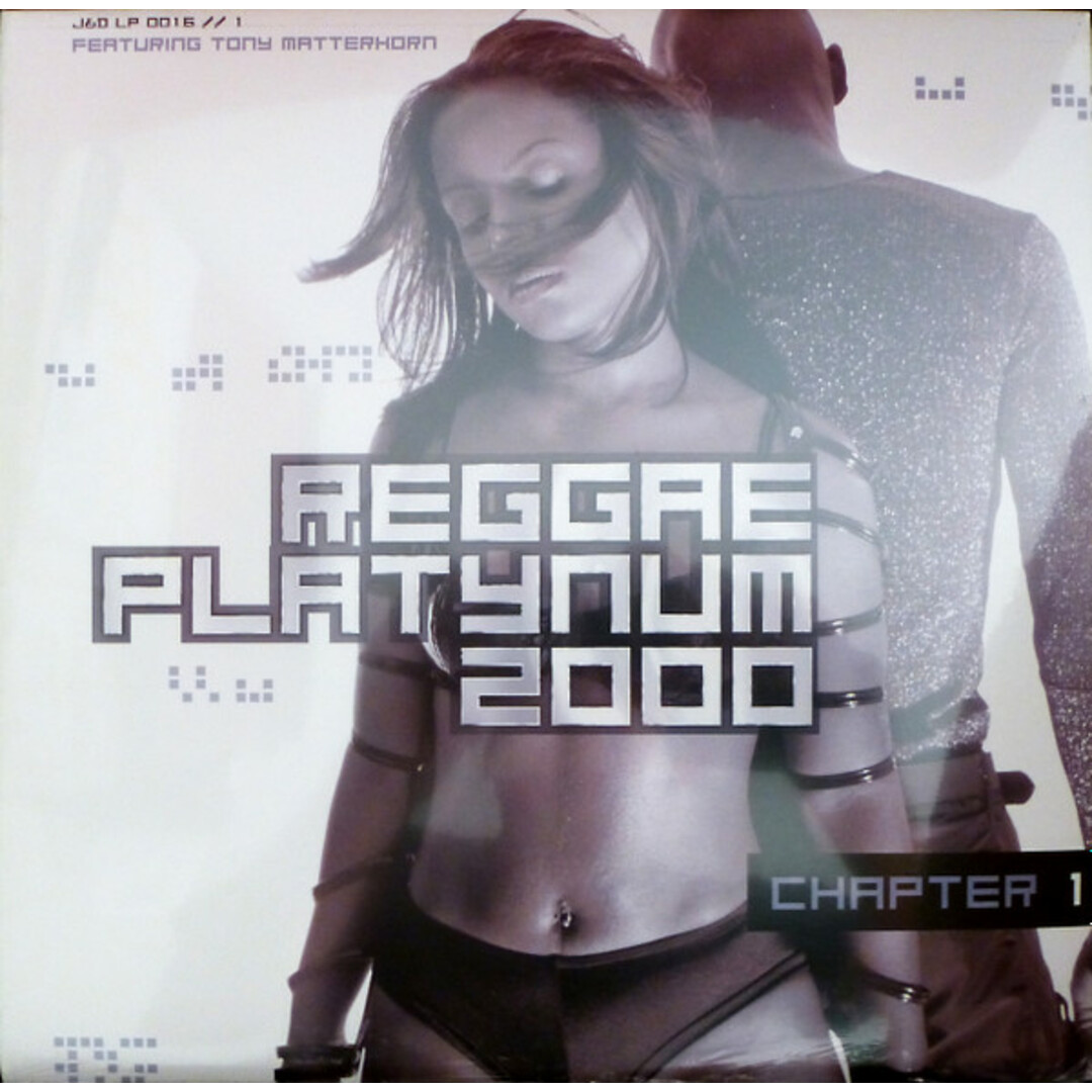 米LP Various Reggae Platynum 2000 - Chapter 1 JD0016 J&D Distribution /00260 エンタメ/ホビーのエンタメ その他(その他)の商品写真