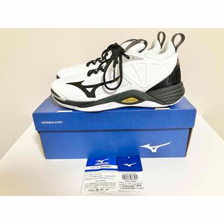 MIZUNO - ニッケルさん専用ミズノ ウェーブイグニタス3 MD 25cm MIZUNO - ニッケルさん専用ミズノ ウェーブイグニタス3 MD 25cm