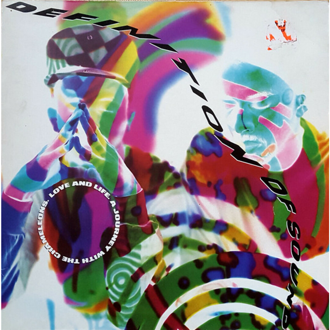 英12” Definition Of Sound Love And Life: A Journey With The Chameleons CIRCA14 Circa /00250 エンタメ/ホビーのエンタメ その他(その他)の商品写真