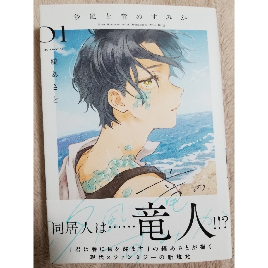 白泉社(ハクセンシャ)の汐風と竜のすみか 1巻 縞あさと エンタメ/ホビーの漫画(少女漫画)の商品写真