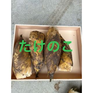 たけのこ 1キロ ぬか唐辛子付きの通販 by おばあちゃん|ラクマ たけのこ 1キロ ぬか唐辛子付きの通販 by おばあちゃん|ラクマ