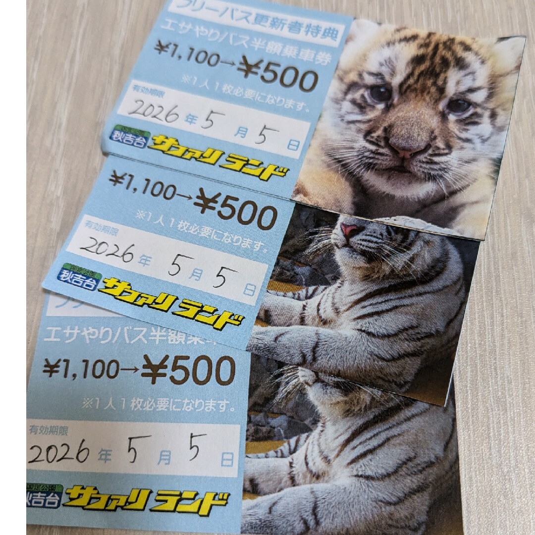 秋吉台サファリランド エサやりバス乗車券3枚 チケットの施設利用券(遊園地/テーマパーク)の商品写真